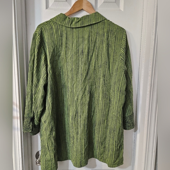 Ali Miles Green Striped Rayon 3/4 Sleeve Art To Wear Button Up - Picture 4 of 6